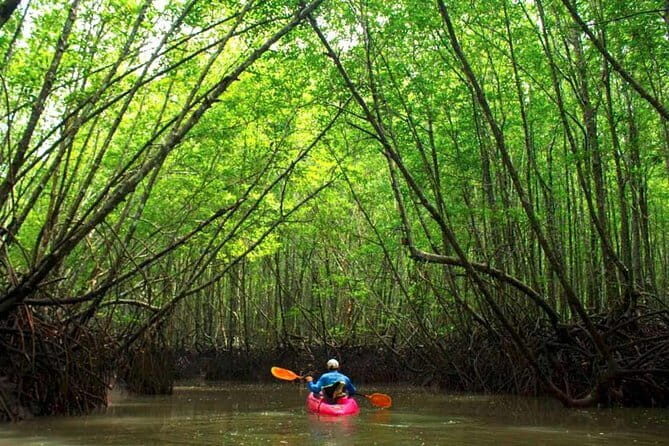 From Krabi: Great Cheow Lan Lake Day Trip with Lunch at PhuTawan - Rainforest hiking: short nature effort, big payoff