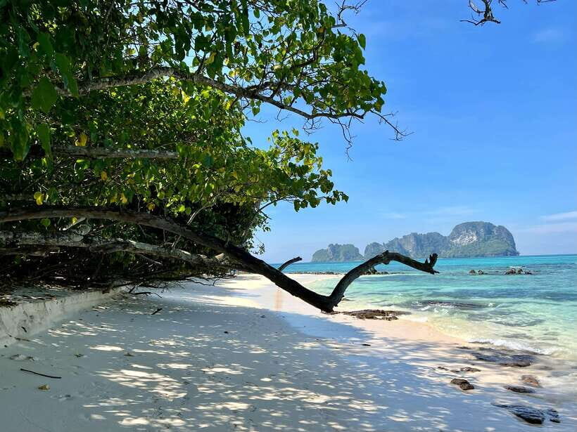 From Phi Phi: Full Day by Longtail Boat with Sunset - English-Speaking Guide: The Real Expectation to Hold