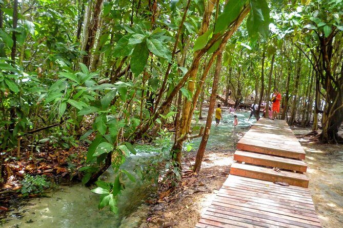 Full-Day Jungle Tour Including Tiger Cave Temple, Crystal Pool and Krabi Hot Springs - Wat Tham Suea Tiger Cave Temple: 1,200+ Steps, Buddhist Shrines, and Andaman Views