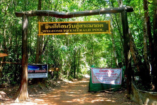 Half-Day Jungle Tour Including Crystal Pool and Krabi Hot Springs - Pickup, shared minivan comfort, and what “small group” means