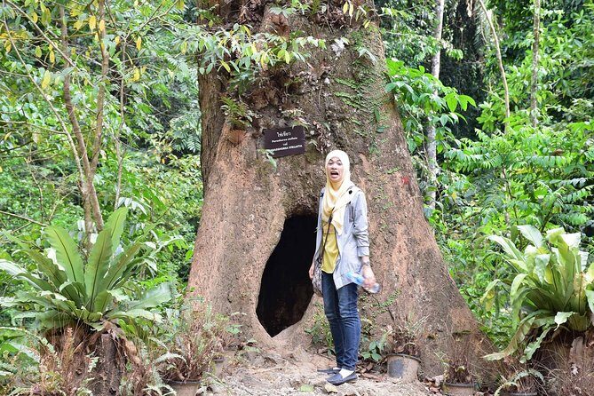 Half-Day Jungle Tour Including Crystal Pool and Krabi Hot Springs - Namtok Ron hot spring waterfall: a shorter stop with real payoff
