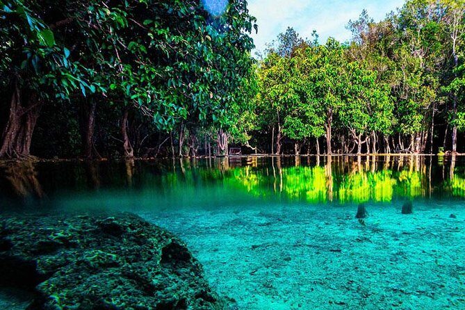 Half Day Jungle Tour to Emerald pool and Krabi Hot Spring - The timing and pickup shuffle (what 8:00am usually means)