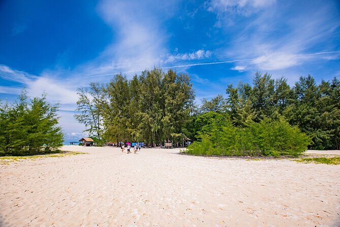 Half-Day Morning Bamboo Island Tour from Phi Phi by Longtail Boat - Who Should Book This Tour (and Who Might Skip It)