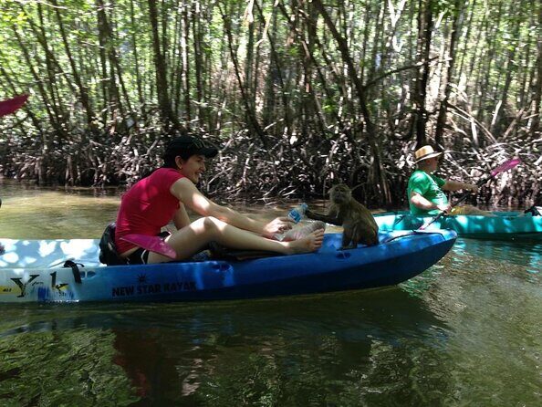 Half-Day Sea Kayaking Adventure in Ao Thalane Bay from Krabi - Key points to know before you go