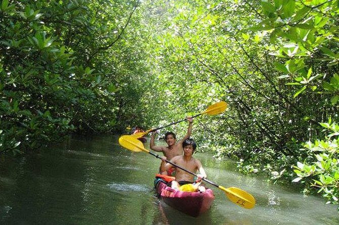 Kayaking at Ao Thalane Krabi - Who should book this kayak tour (and who should skip)