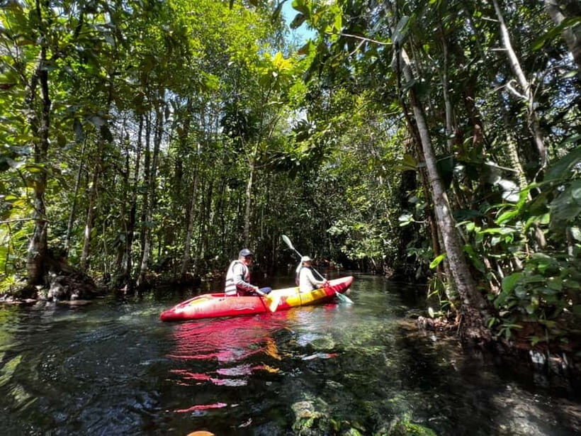 Klong Rud Kayaking with Hotel Transfer - The Swim Break in Clear Lagoon Water: Small Area, Big Worth It