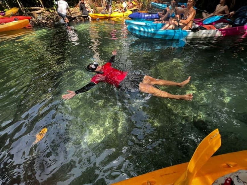 Klong Rud Kayaking with Hotel Transfer - Price and Value: Is $28 Fair for a 150-Minute Lagoon Trip?