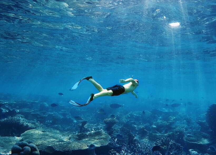 Ko Lanta: Full-Day Snorkel Trip to Phi Phi & Bamboo Islands - Loh Moo Dee Bay snorkeling: the second reef stop