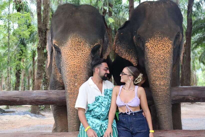 Krabi: Elephant Feeding Program - Meeting the Elephants and Caretakers: What You’re Really Observing