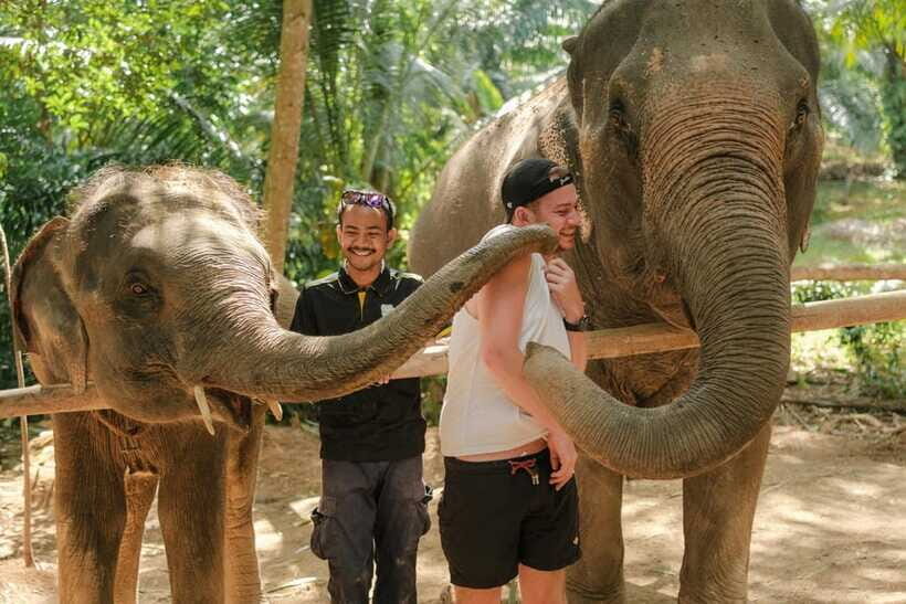 Krabi: Elephant Sanctuary (near Ao Nang) Visit - Ao Nang Pickup, Transfer Comfort, and What the Day Feels Like