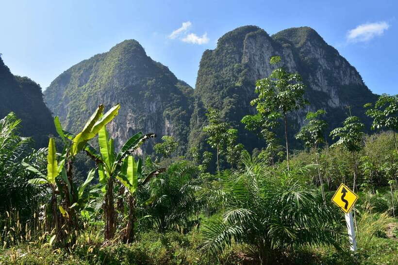 Krabi: Emerald Cool-Down & Kayak Odyssey in Din Daeng Canyon - Din Daeng Canyon: the emerald mangrove labyrinth that makes the day