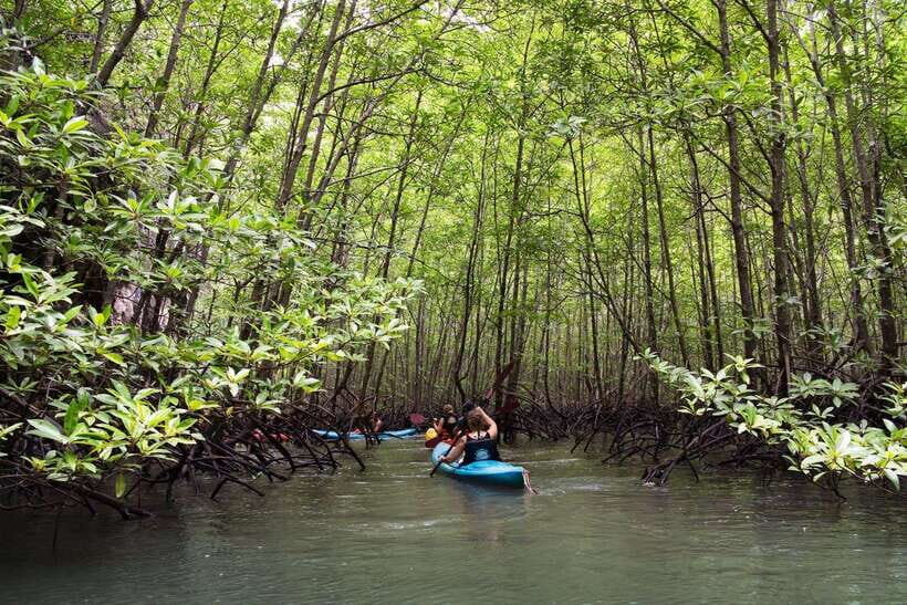 Krabi: Emerald Cool-Down & Kayak Odyssey in Din Daeng Canyon - Sra Keaw Emerald Cool-Down: why the swim feels so different
