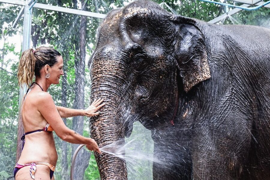 Krabi: Highlights Tour with Krabi Elephant Shelter - What You’re Doing With the Elephants (And What You’re Not)