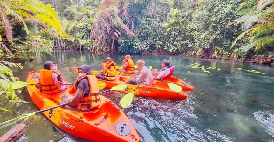 Krabi kayaking and swimming clongrood Tour - On the water with a live guide: pacing, wildlife, and clear-water views