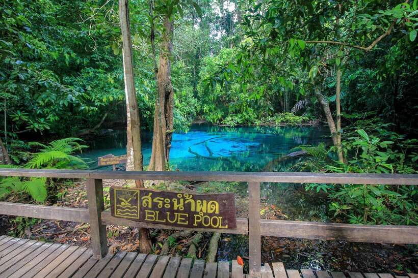 Krabi Outback Explorer to Emerald Pool & Wareerak Hotspring - Pace and timing: how the 6.5-hour day really feels