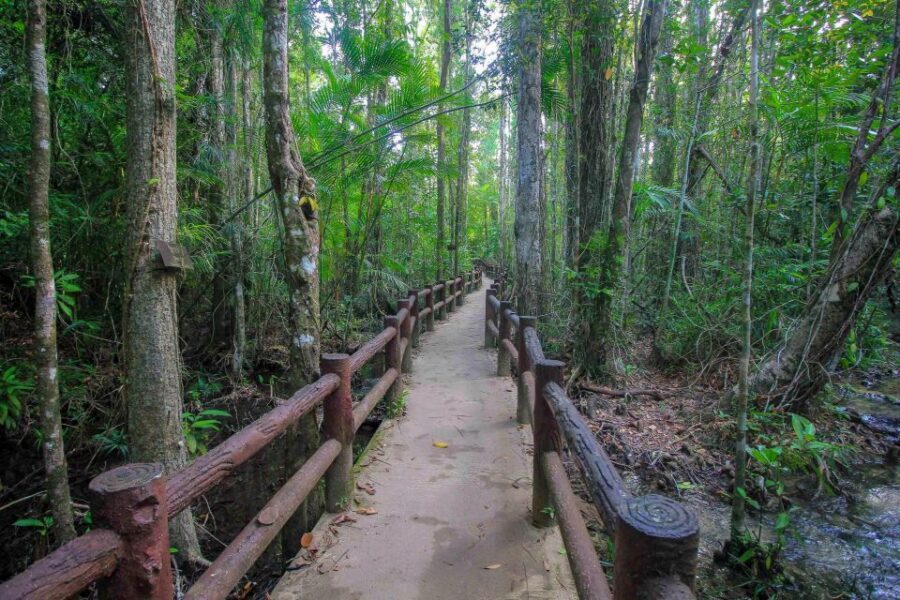 Krabi Outback Explorer with Visit of Tiger Cave Temple - Key Points to Know Before You Go