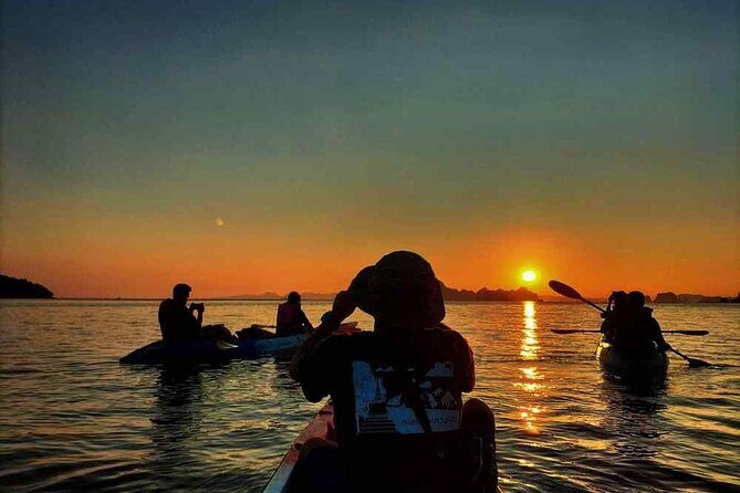 Krabi Sea Kayaking Tour Adventure at Ao Thalane - Wildlife on Your Route: Monkeys, Birds, and Respectful Viewing