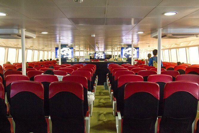 Krabi To Koh Tao(Tao Island) by Bus and Ferry - Price and Value: What You’re Paying For at $66.94