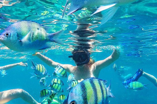 Krabi to Phi Phi Islands by Speedboat - Stops that may pop up: Bamboo, Poda, and how guides handle crowds