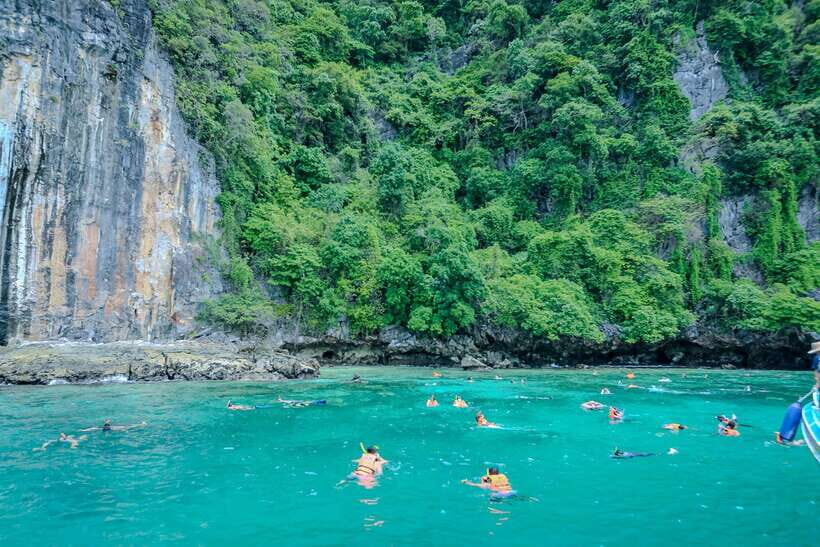 Phi Phi : Half Day By Speed Boat 4 hours Phi Phi Lay - Monkey Beach: the playful stop that’s best handled calmly