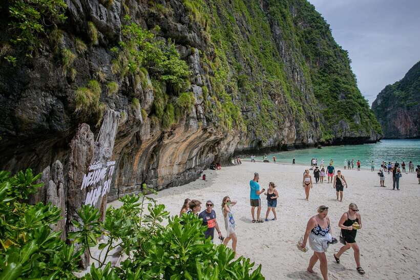 Phi Phi : Half Day By Speed Boat 4 hours Phi Phi Lay - Shark Point snorkeling: where the water time is the main event