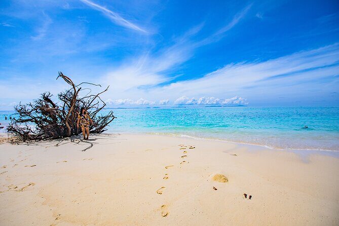 Sea Breeze Calm You On Phi Phi Islands Tour From Krabi - Bamboo Island: the first hour for sand, shade, and a good swim