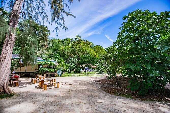 Sea Breeze Calm You On Phi Phi Islands Tour From Krabi - Viking Cave: limestone views, bird nest harvesting, and fast photo time