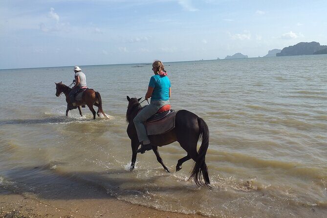 Sunset Horse Riding And BBQ Dinner Tour At Ao Nam Mao Beach Krabi - Price in Context: Is $108.40 Worth It?