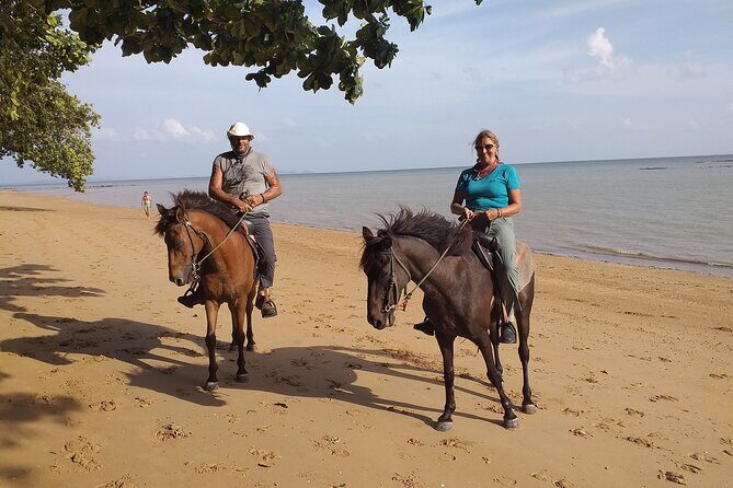 Sunset Horse Riding And BBQ Dinner Tour At Ao Nam Mao Beach Krabi - Choosing the Right Horse and Getting Comfortable Fast