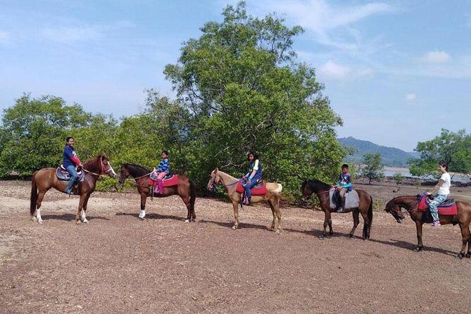 Sunset Horse Riding Tour at Ao Nam Mao Beach Krabi - Getting Your Horse Right: Matching, Skill Levels, and Kids