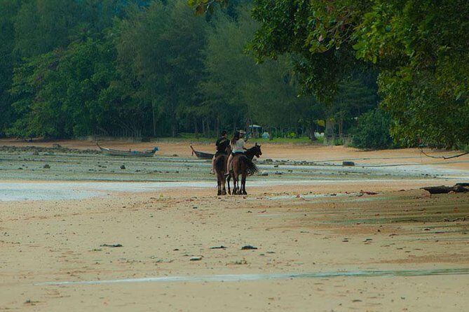 Sunset Horse Riding Tour at Ao Nam Mao Beach Krabi - What I’d Watch About Animal Welfare (The One Serious Concern)