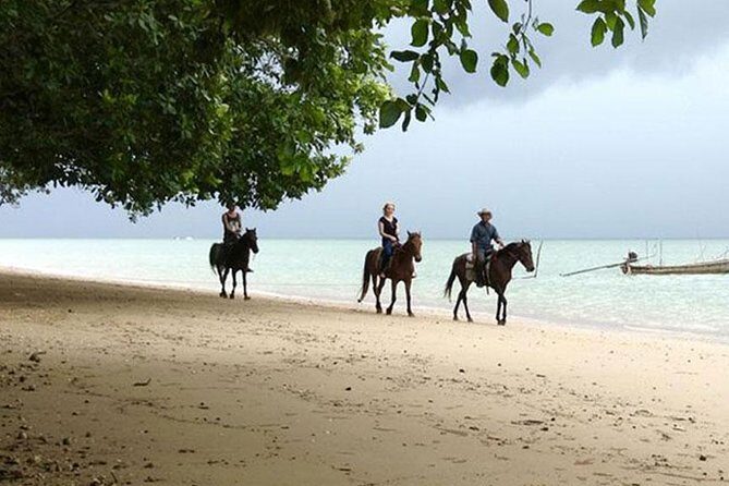 Sunset Horse Riding Tour at Ao Nam Mao Beach Krabi - Group Size and Comfort: Why Small Matters at Sunset