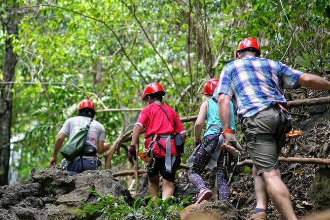 Thrilling Zipline Adventures at Thai'd Up in Krabi's Lush Jungle - The 60-meter abseil experience: tree ladders and a serious descent